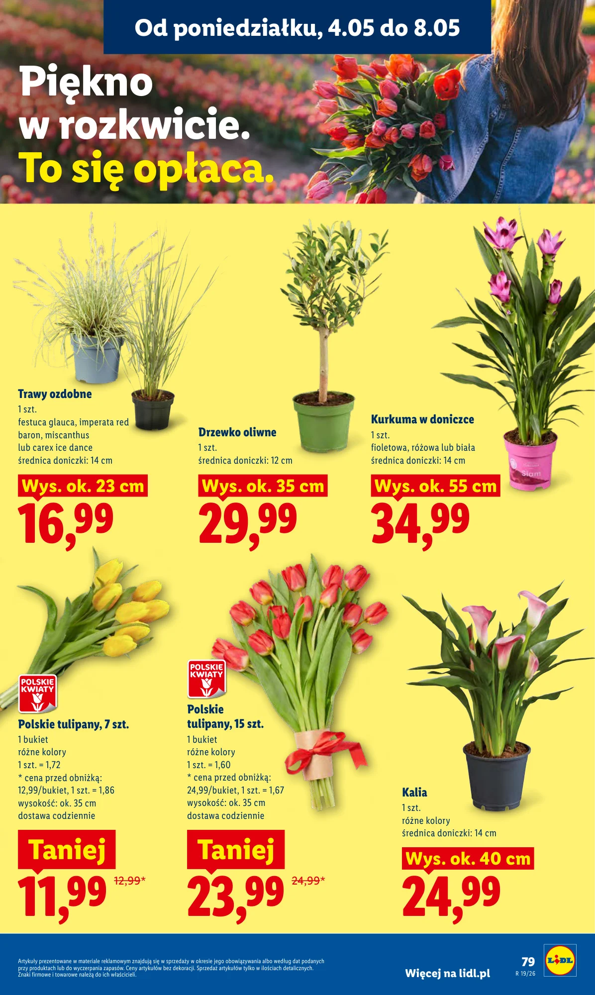Gazetka promocyjna Lidl str. 85